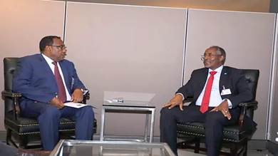 وزير الخارجية الصومالي يلتقي نظيره الإثيوبي في نيويورك 